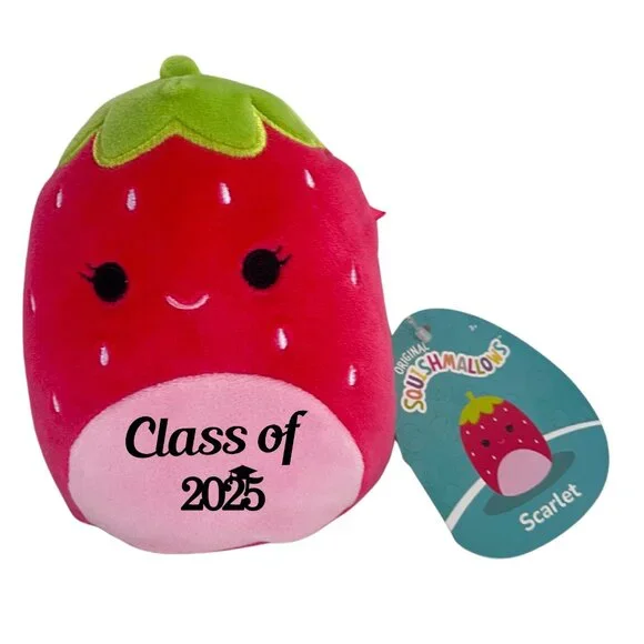 Set of 6 Squishmallows 5 Mini Plush Customized with Class of 2025
